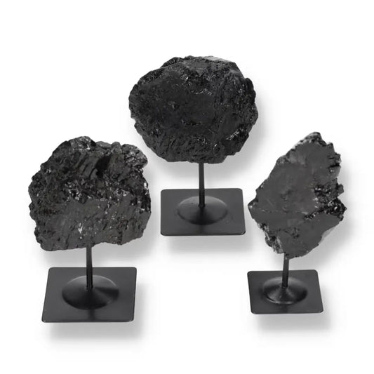Rough black tourmaline stones on metal stands from Sylvia Crystals, known for protection and grounding energy.