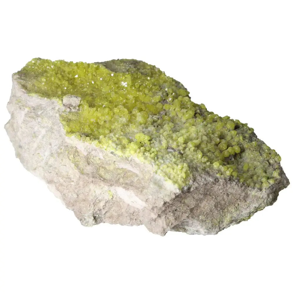 orbitvu|type:image2d