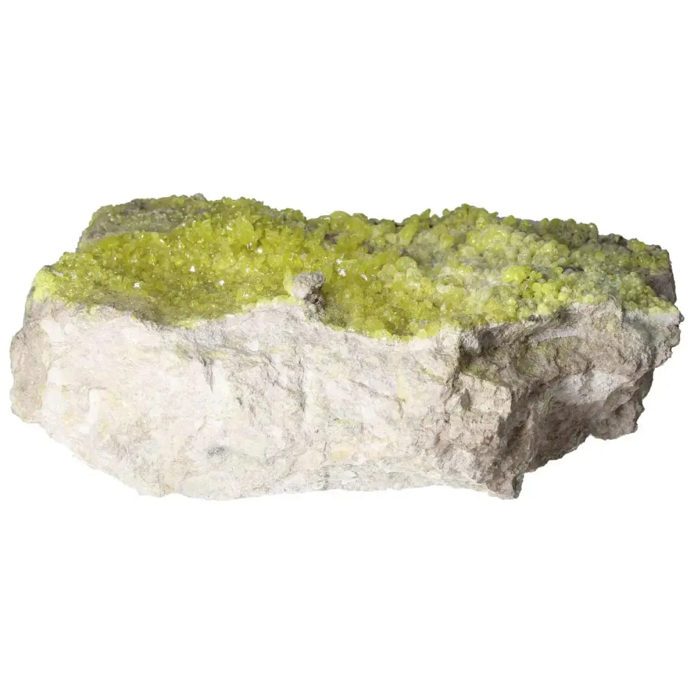 orbitvu|type:image2d