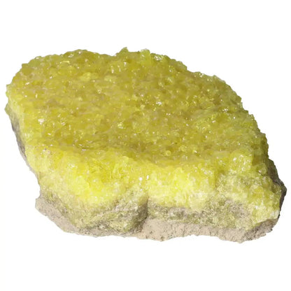 Vibrant yellow Rough Sulphur Druze crystal, unpolished mineral from Sylvia Crystals, showcasing natural allure and beauty.