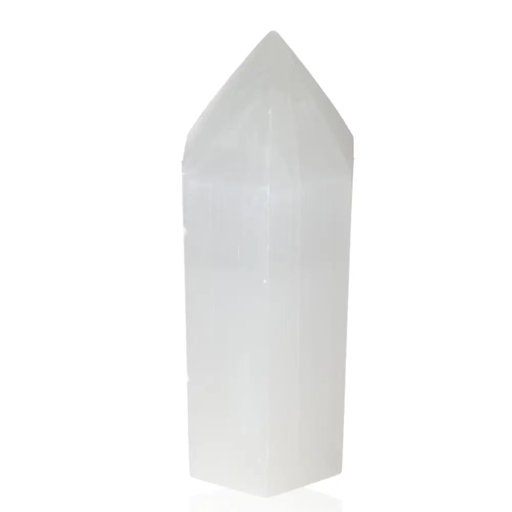 orbitvu|type:ORBITVU 360|https://orbitvu.co/share/y2KCh87yvd4CzJoTM6FSv/6390812/360/iframe
