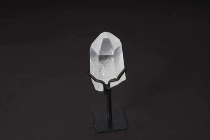 orbitvu|type:image2d
