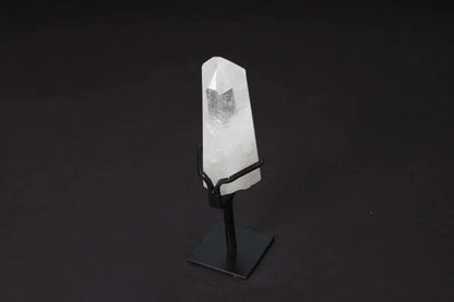 orbitvu|type:image2d