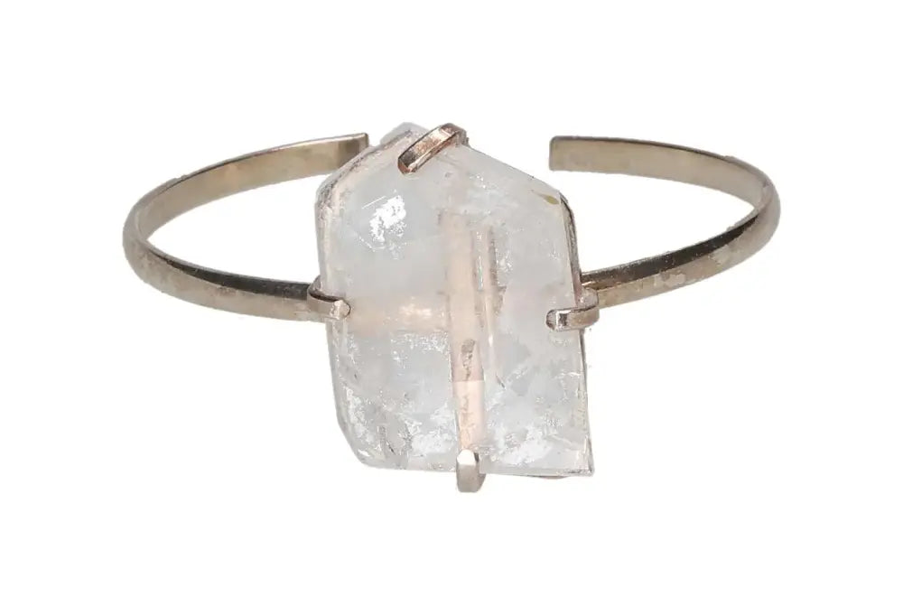 orbitvu|type:image2d