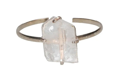 orbitvu|type:image2d