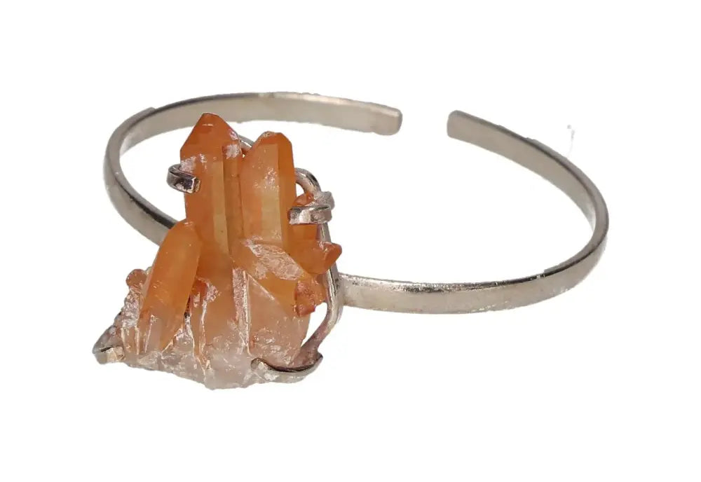 orbitvu|type:image2d