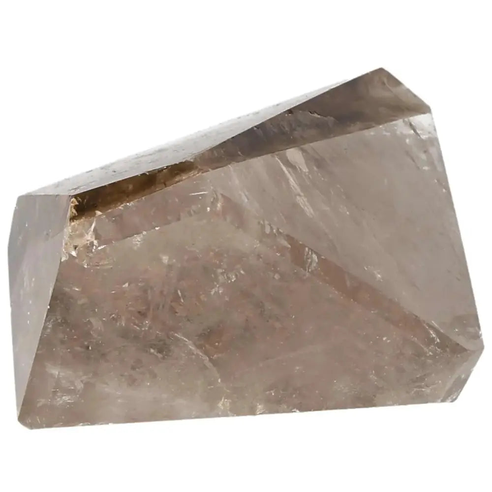 orbitvu|type:image2d