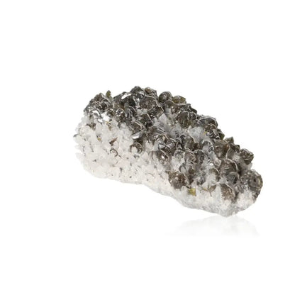 orbitvu|type:ORBITVU 360|https://orbitvu.co/share/yvgYVn2fbSvznHw9gRsX9H/6297076/360/iframe