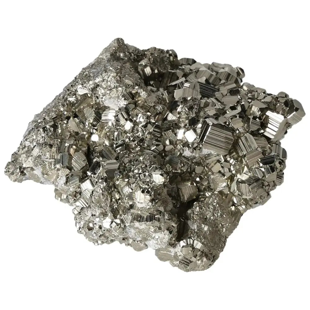 orbitvu|type:image2d