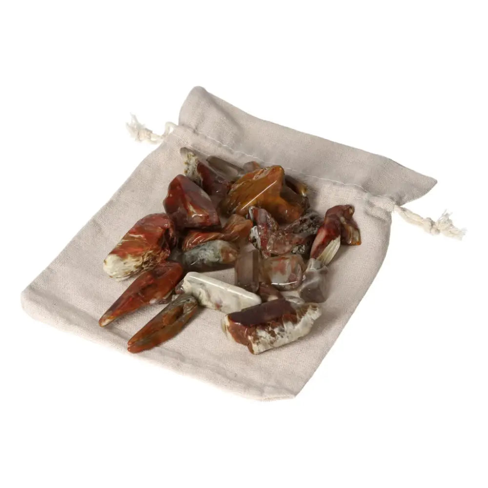 Tumbled Amphibole crystals in a drawstring bag, showcasing their rich color and texture, part of the Sylvia Crystals collection.