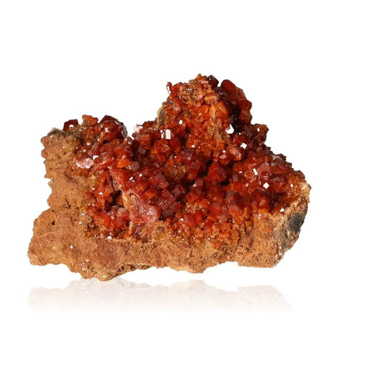 Vibrant red-orange Vanadinite Druze crystal on a brown rock base, known for enhancing focus and creativity, perfect for collectors.