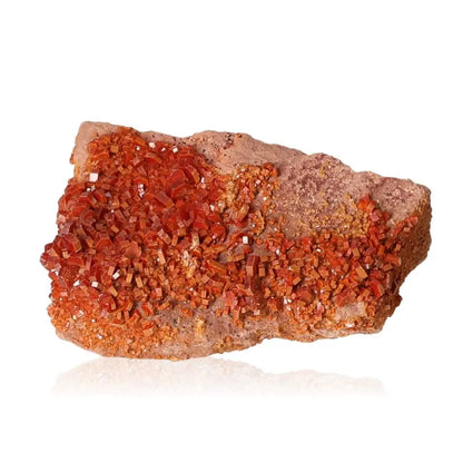 Vibrant red-orange Vanadinite druzy crystal display, ideal for collectors and enhancing creativity and focus.