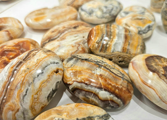 Piedra de palma de aragonita marrón M 1 kg