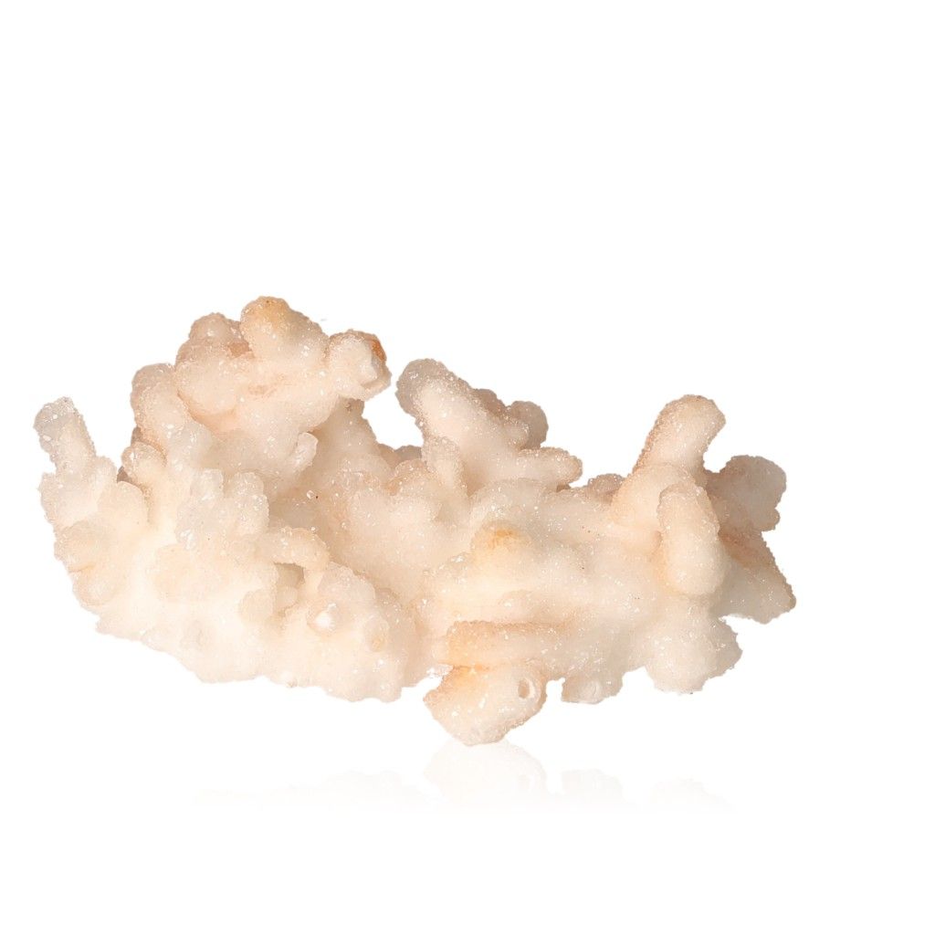 Cave calcite stalactite cluster with intricate layers and natural beauty on a white background.