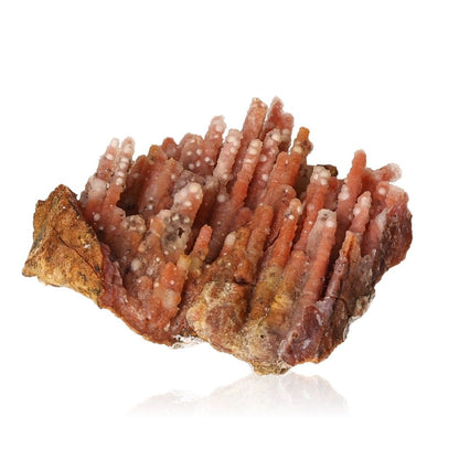 Calcite stalactite formation in earthy tones showcasing intricate layers, symbolizing natural beauty and transformation.