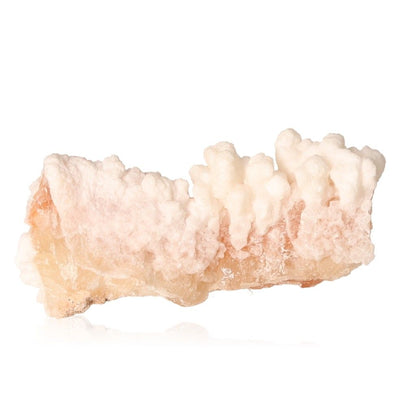 Cave calcite stalactite cluster showcasing natural mineral formation with intricate textures and layers.