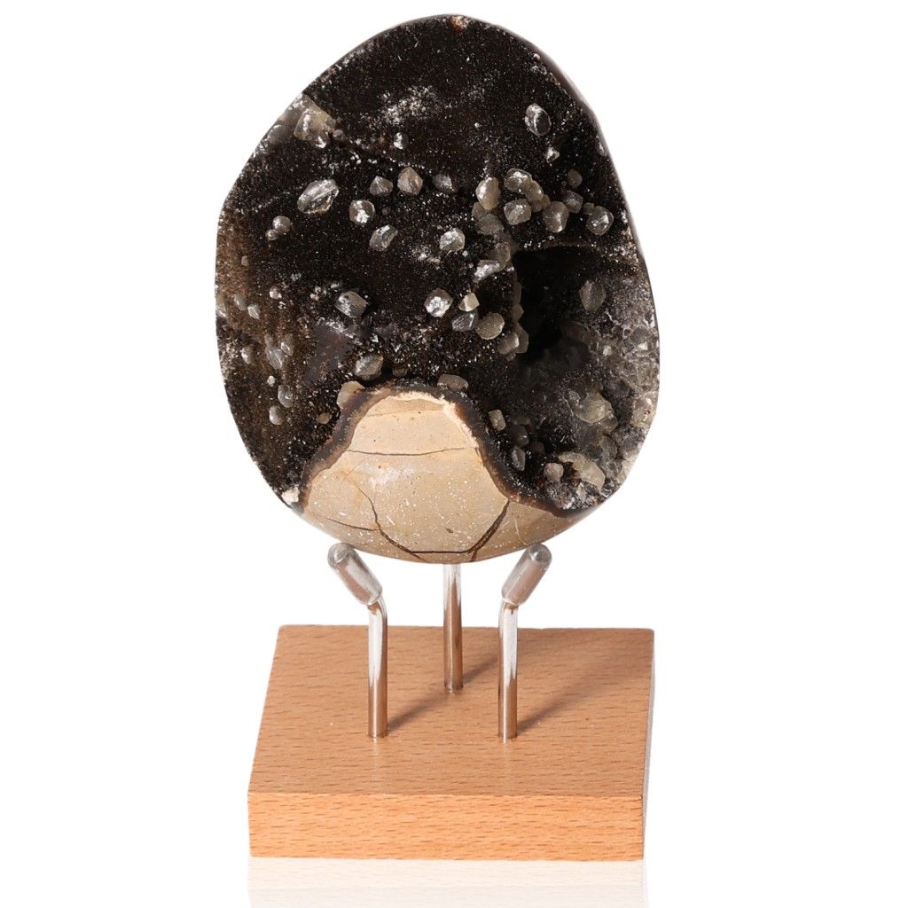 Septarian Dragon Stone on wooden stand showcasing unique patterns and earthy colors, symbolizing power and endurance.