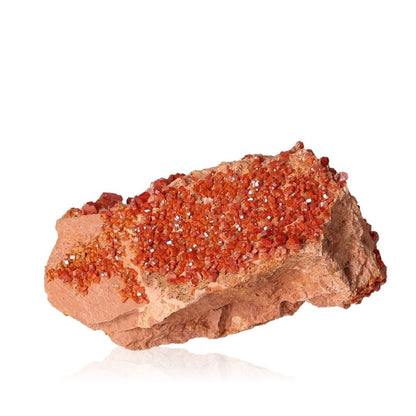 Reddish-orange Vanadinite Druze with vibrant hexagonal crystals, enhancing focus and motivation, on a glassy surface.