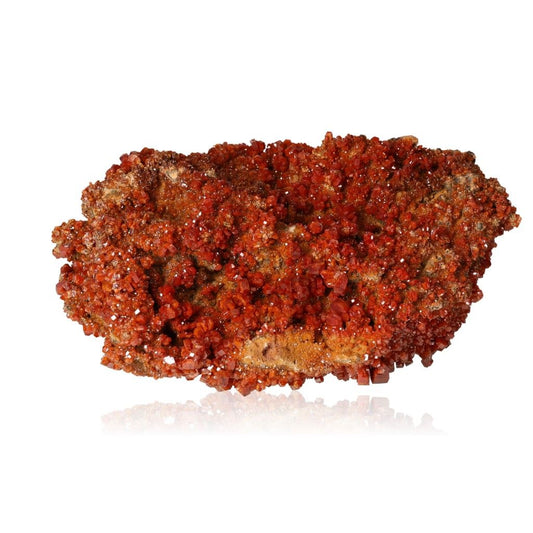 Vanadinite druze with vibrant red hexagonal crystals and a glassy surface, enhancing focus and transformation.