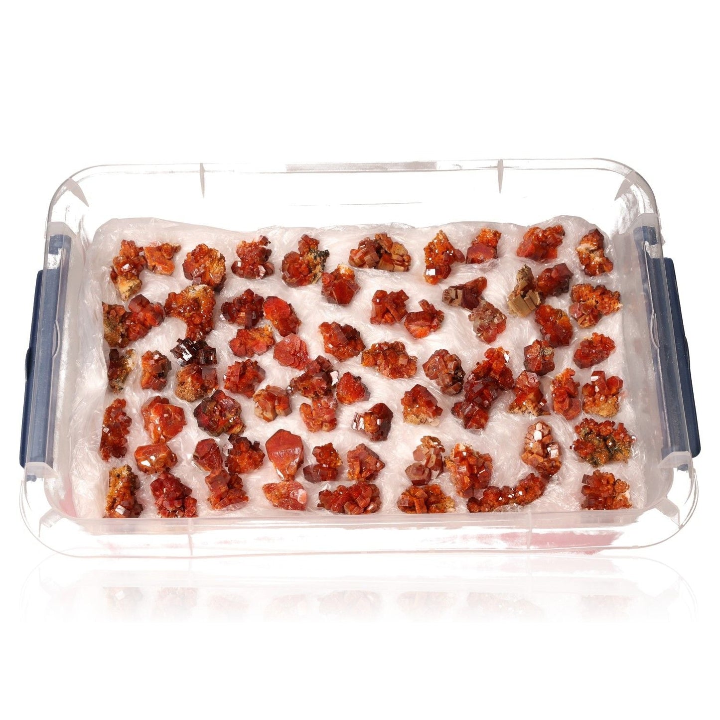 Collection of small vanadinite druzy crystals with hexagonal shapes and vibrant reddish-orange colors in a clear storage tray.