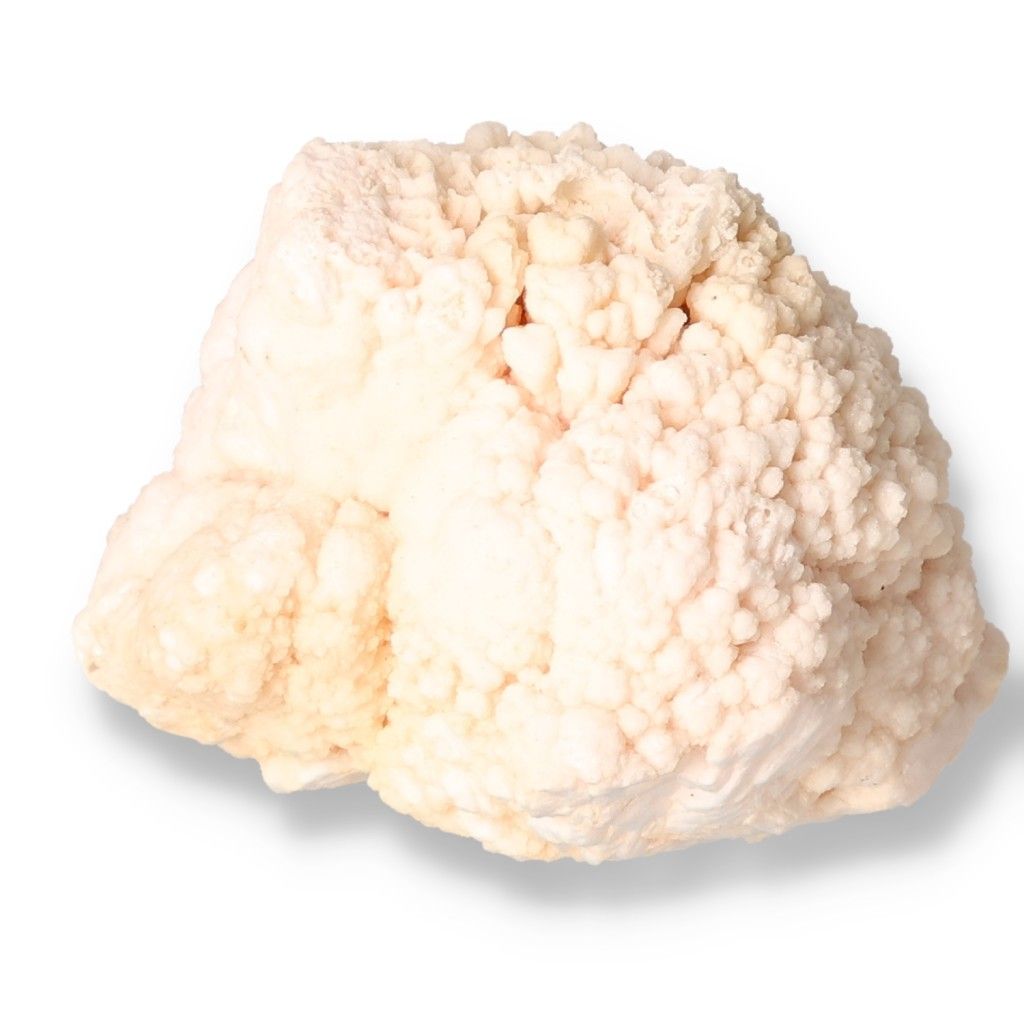 Creamy white mineral cluster with intricate crystalline structure against a white background.