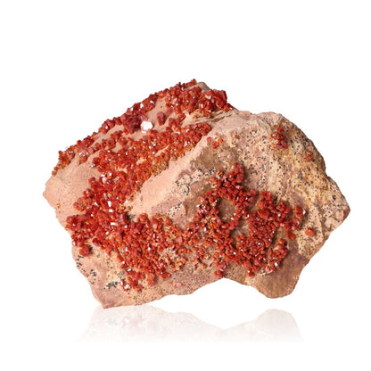 Vanadinite druze mineral specimen with vibrant red crystal formations for focus and motivation.