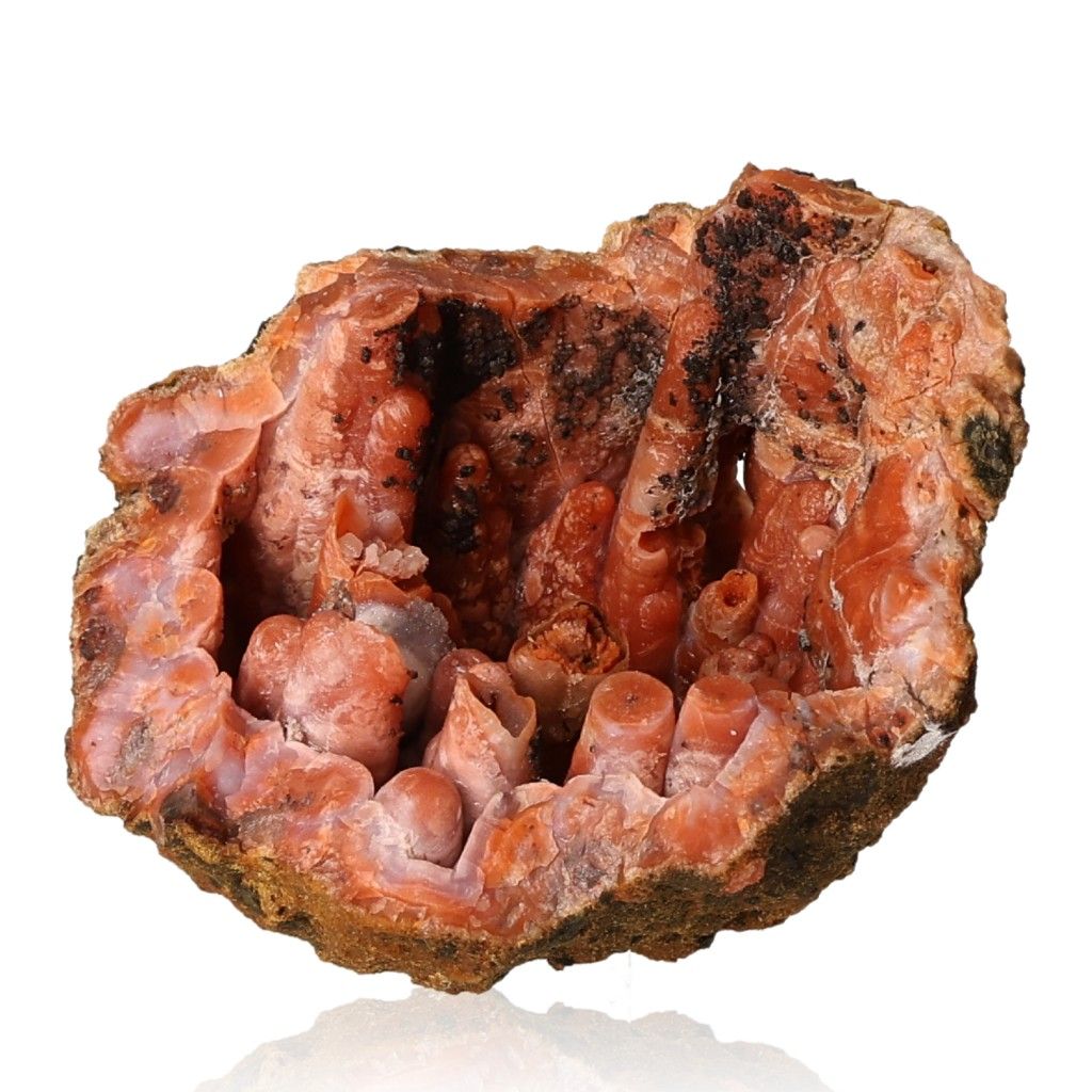 Calcite stalactite showcasing layered structure and earthy tones, known for growth and grounding energy properties.