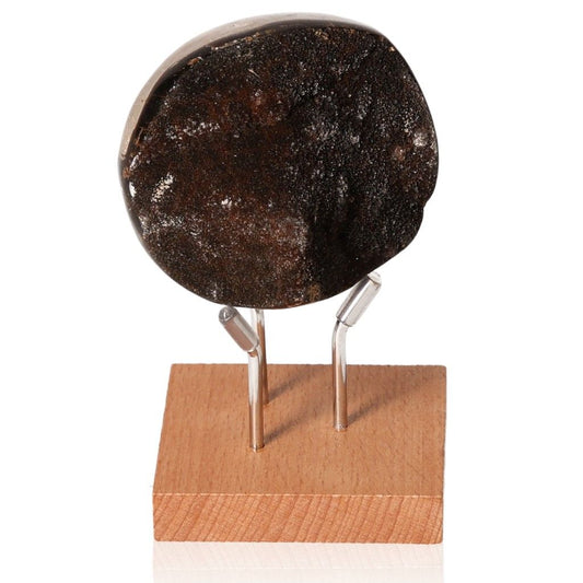 Septarian Dragon Stone on wooden stand displaying unique appearance and rich symbolism of power and endurance.