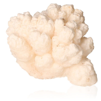 Cave calcite stalactite cluster with intricate natural formations and layered textures showcasing geological artistry.