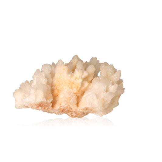 Natural cave calcite stalactite cluster showcasing intricate mineral formations and layered textures.