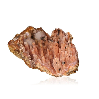 Calcite Stalactite with earthy tones, showcasing natural growth and transformation properties.