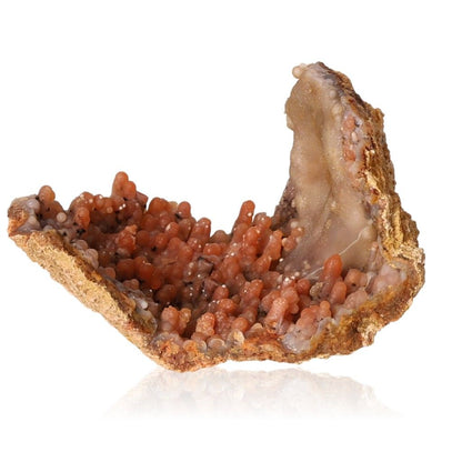 Calcite stalactite showcasing intricate, layered structures in earthy tones, symbolizing growth and natural beauty.