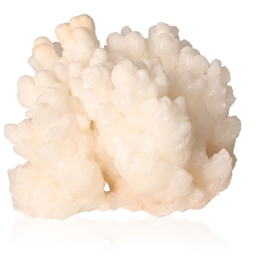 Natural cave calcite stalactite cluster with intricate shapes and layered textures.