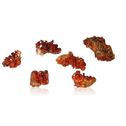 Vanadinite small druzes with vibrant reddish-brown hexagonal crystals on a white background, showcasing their glassy, bold appearance.