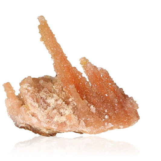 Calcite stalactite with earthy tones and intricate layered structure representing growth and grounding energy.