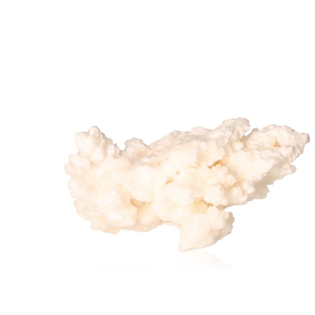 Cave calcite stalactite cluster with intricate white mineral formations on a plain background.