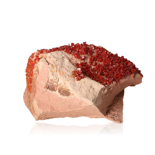 Vanadinite druze stone enhancing focus, motivation, and personal transformation with vibrant red crystals on a rocky base.