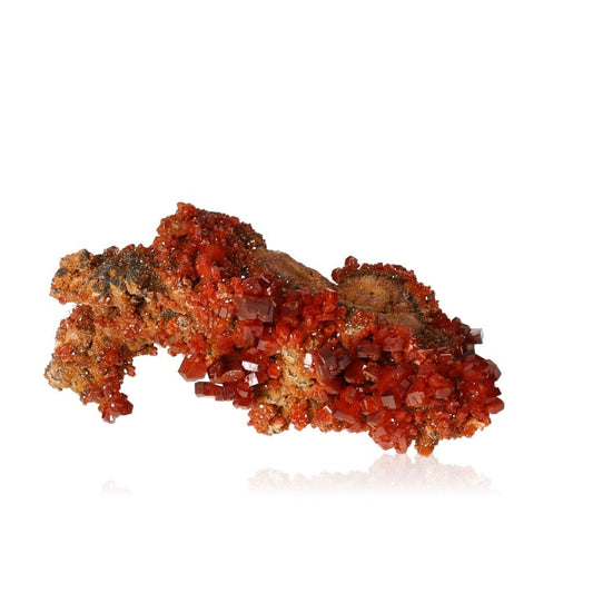 Vibrant reddish-brown Vanadinite druzy with hexagonal crystals and glassy surface, enhancing focus and personal transformation.