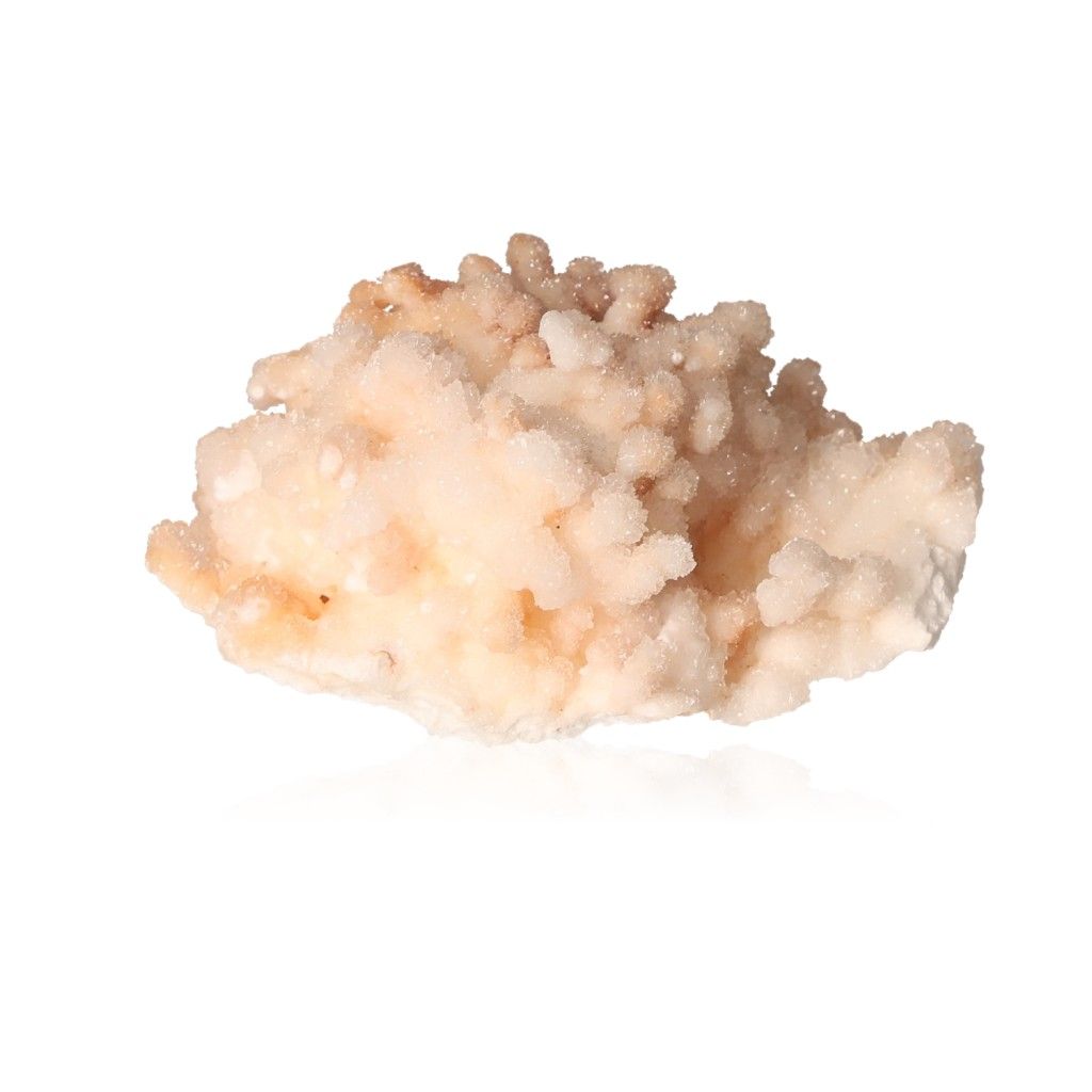 Cave Calcite Stalactite Cluster with intricate mineral formations on white background.