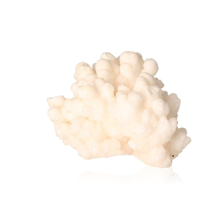 Cave Calcite Stalactite Cluster with intricate white formations and layered textures, showcasing natural growth and energy.