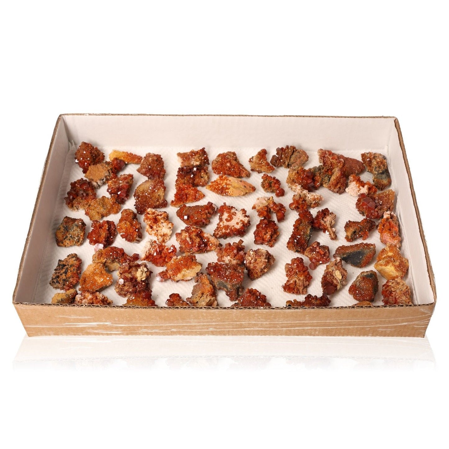 Vanadinite small druzes collection showcasing vibrant hexagonal reddish-orange crystals in a display box.