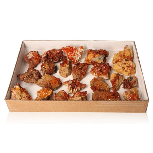 Collection of small vanadinite druzes with vibrant reddish-brown to orange hexagonal crystals in a cardboard box.