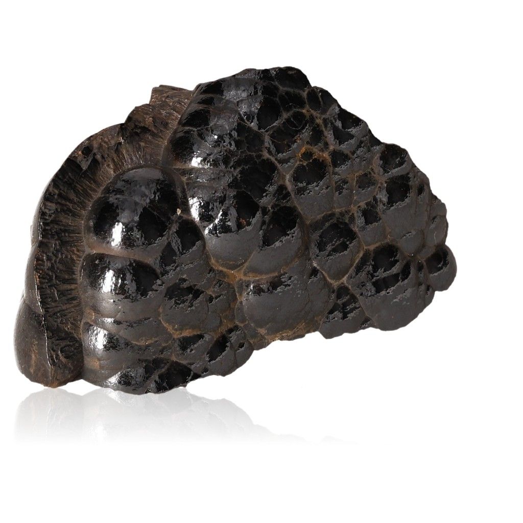 Polished Botryoidal Hematite crystal cluster with shiny metallic surface, known for grounding and emotional balance enhancement.