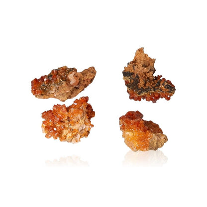 Vanadinite small druzes with reddish-brown and orange hexagonal crystals on a white background.