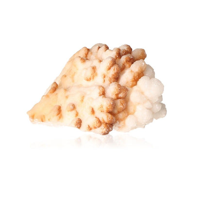 Cave calcite stalactite cluster with layered textures on a white background showcasing natural mineral formations.