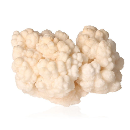 Cave Calcite Stalactite Cluster - Natural Growth Formation with Intricate Shapes and Textures